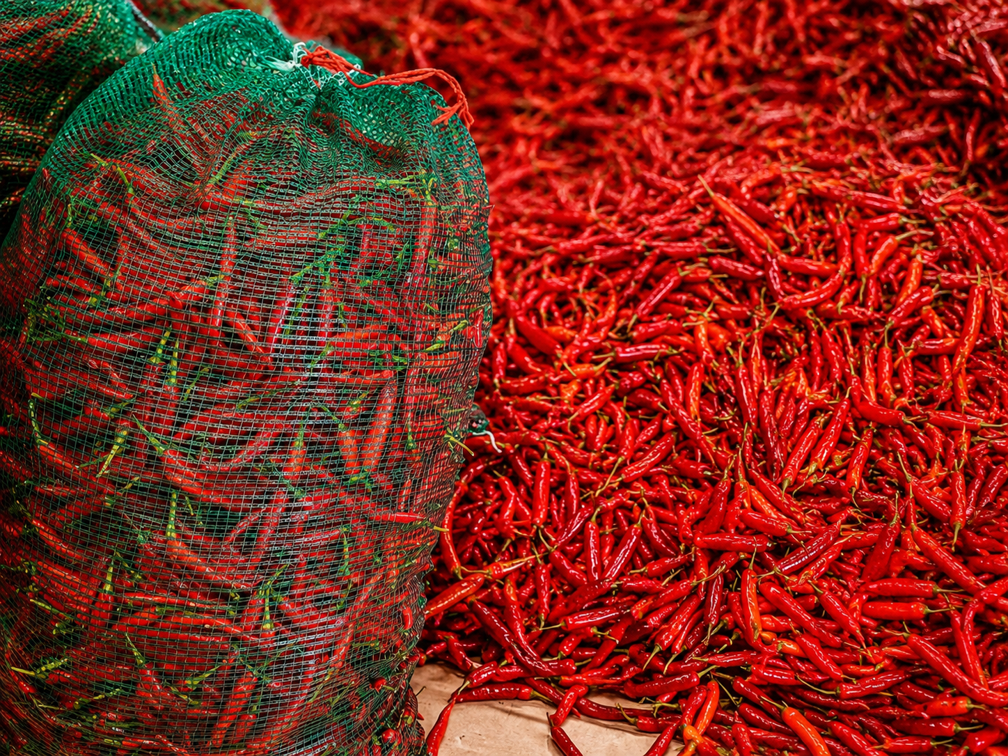 hot sauce chili